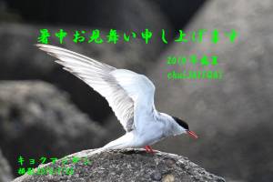�N���b�N�Ŋg��\�� ( .jpg / 117.8KB )