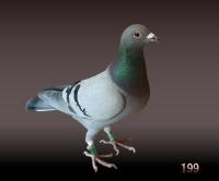 �N���b�N�Ŋg��\�� ( .jpg / 25.5KB )