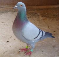 �N���b�N�Ŋg��\�� ( .jpg / 63.9KB )