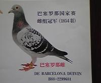 �N���b�N�Ŋg��\�� ( .jpg / 75.9KB )