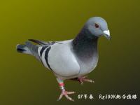 �N���b�N�Ŋg��\�� ( .jpg / 75.4KB )