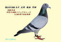 �N���b�N�Ŋg��\�� ( .jpg / 206.8KB )