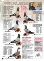 �N���b�N�Ŋg��\�� ( .jpg / 236.9KB )