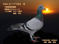 �N���b�N�Ŋg��\�� ( .jpg / 194.1KB )