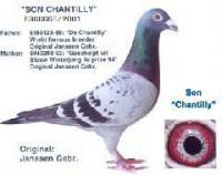 �N���b�N�Ŋg��\�� ( .jpg / 9.6KB )