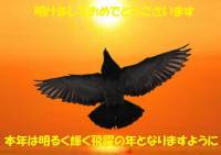 �N���b�N�Ŋg��\�� ( .jpg / 42.8KB )