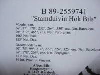 �N���b�N�Ŋg��\�� ( .jpg / 231.3KB )