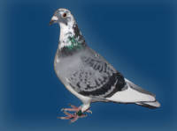 �N���b�N�Ŋg��\�� ( .jpg / 35.1KB )