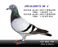 �N���b�N�Ŋg��\�� ( .jpg / 275.5KB )