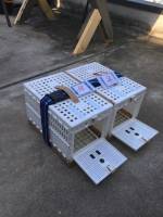 �N���b�N�Ŋg��\�� ( .jpg / 163.2KB )