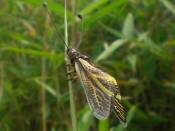 �N���b�N�Ŋg��\�� ( .jpg / 27.7KB )