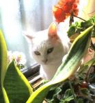 �N���b�N�Ŋg��\�� ( .jpg / 21.7KB )