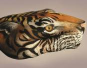 NbNŊg\ ( .jpg / 97.7KB )