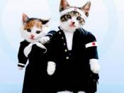 クリックで拡大表示 ( .jpg / 9.1KB )